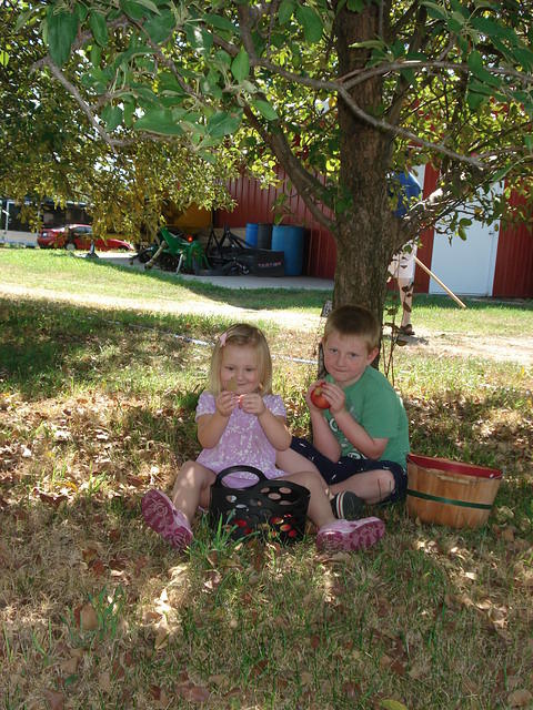 August visit 027.JPG