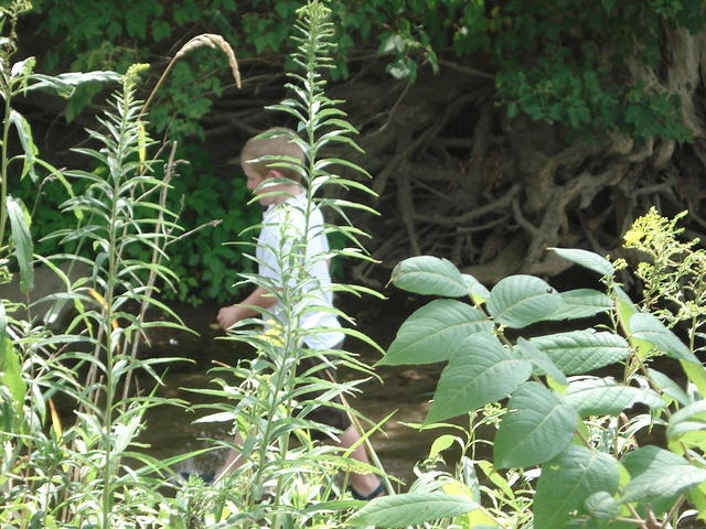 August visit 086.JPG