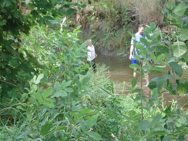 August visit 091.JPG