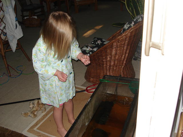 August visit 157.JPG