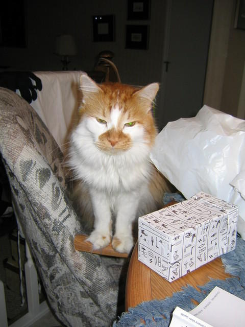 My Garfield impression