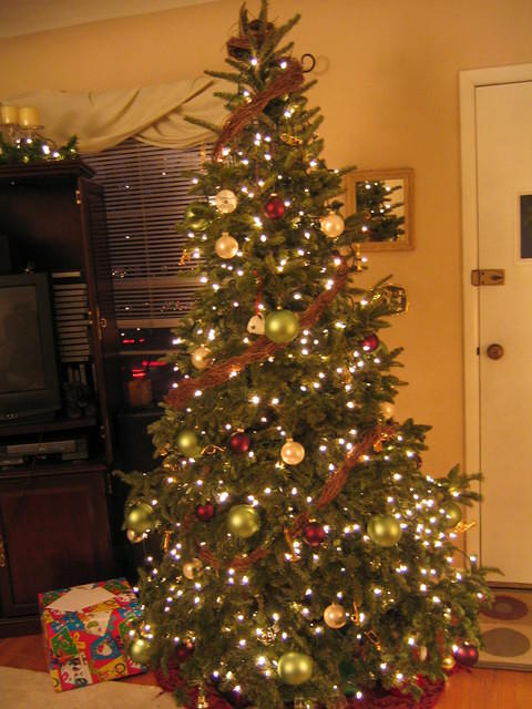 12-26-03 016.jpg
ACG  Julie's tree