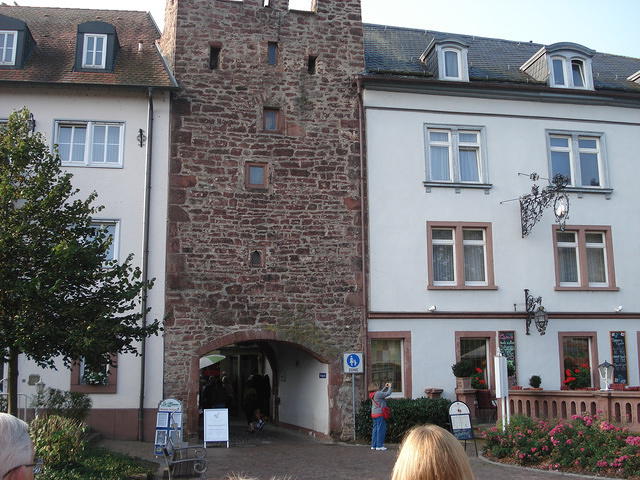 Wertheim 007.jpg