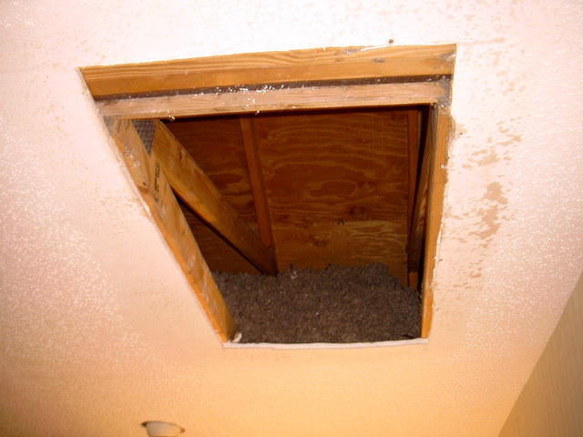 Looking into the attic