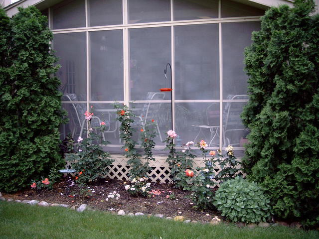 Garden_yard_016.jpg
