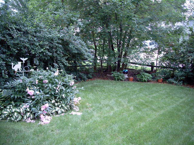 Garden_yard_023.jpg