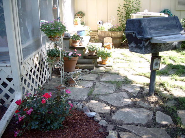 Garden yard 017
