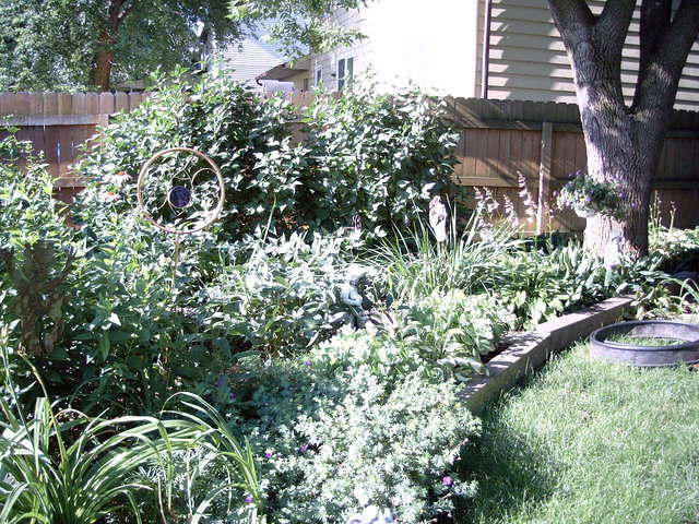 Garden yard 021