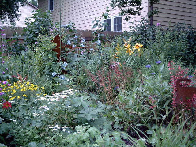 Garden yard 029