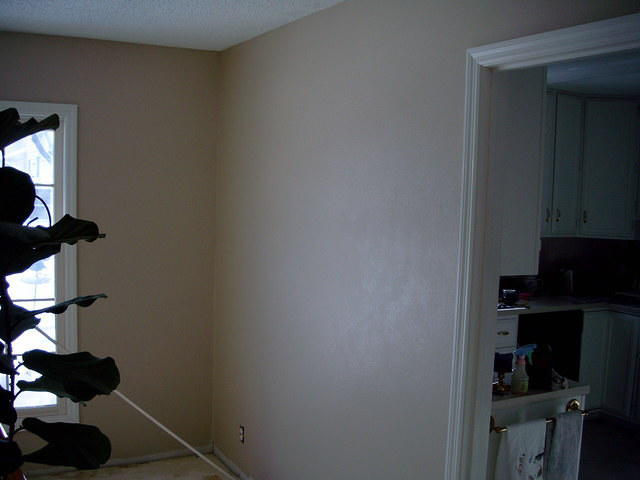 Painting is finished