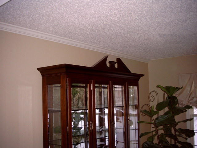 First crown molding installed