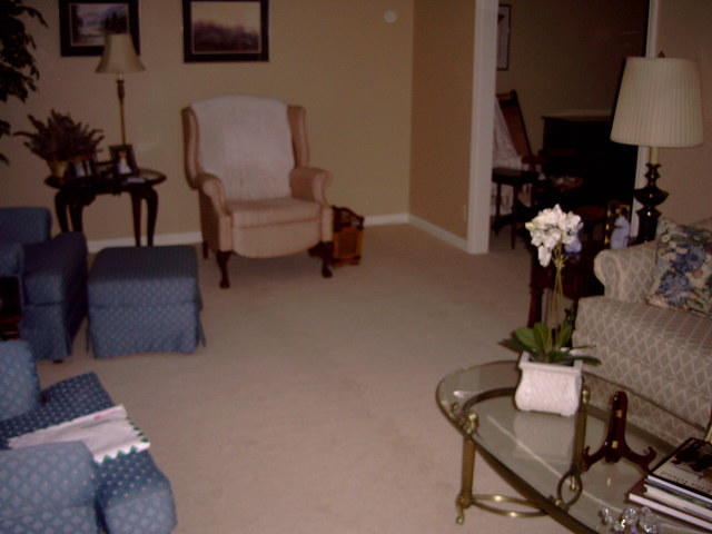 New carpet2.jpg