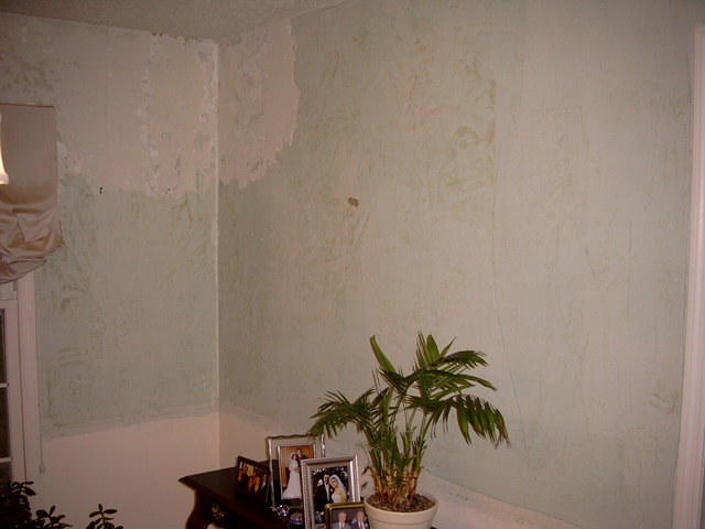 Wallpaper stripping