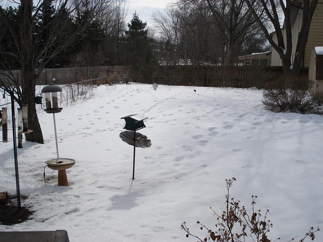 Winter 2007-8 002.jpg