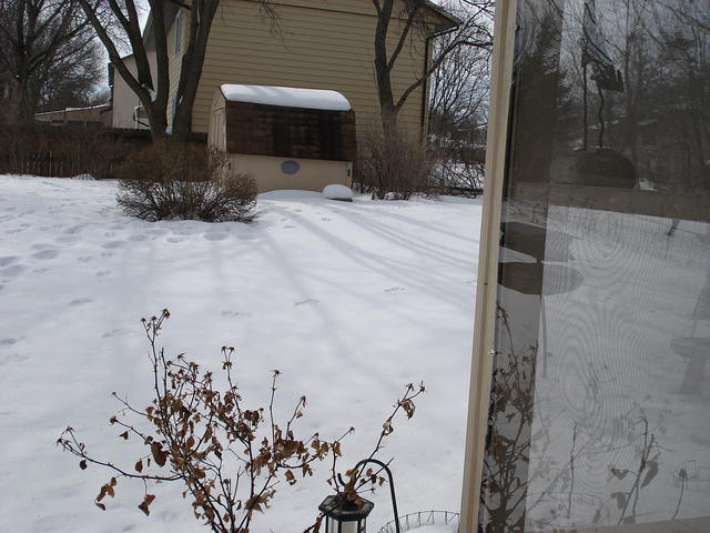 Winter 2007-8 003.jpg