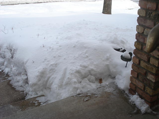 Winter 2007-8 005.jpg