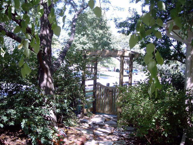 Arbor2004 001