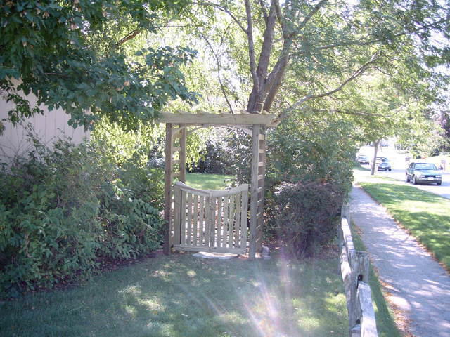Arbor2004 007