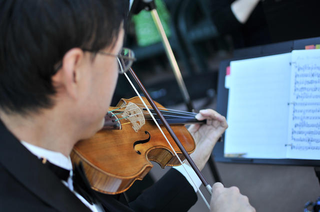 Green-Rosenbohm 513.jpg