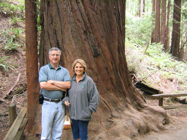 muir woods (7-28-04) 002.jpg