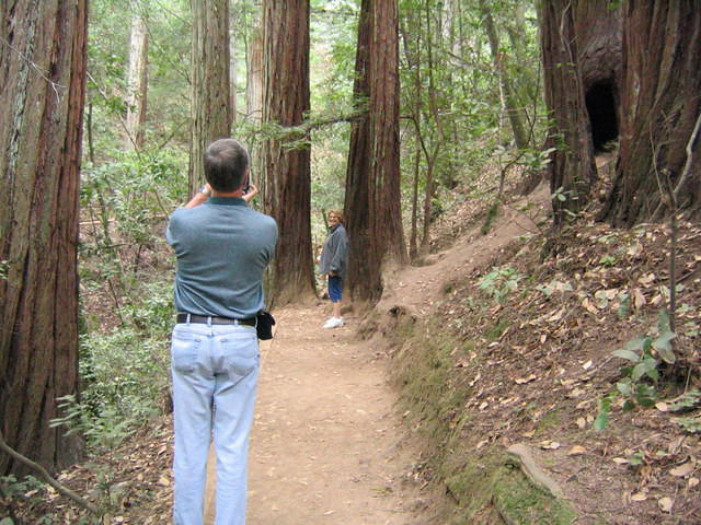 muir woods (7-28-04) 014.jpg