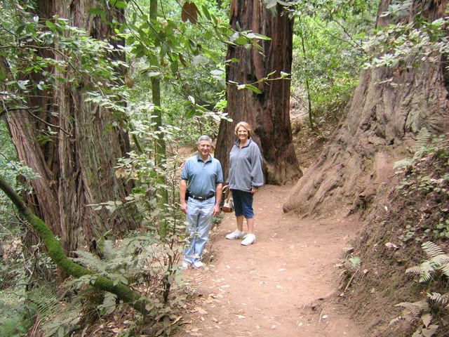 muir woods (7-28-04) 041.jpg