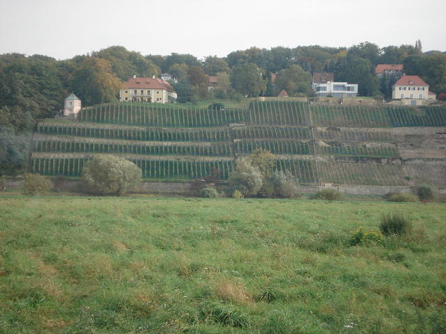 Dresden 2010 040.jpg