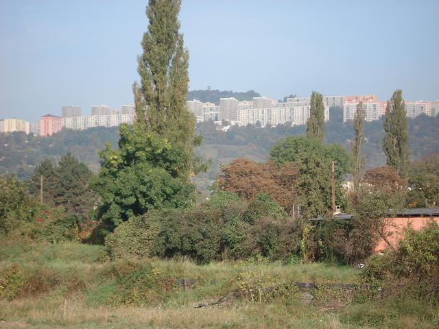 Litomerice 2010 015.jpg