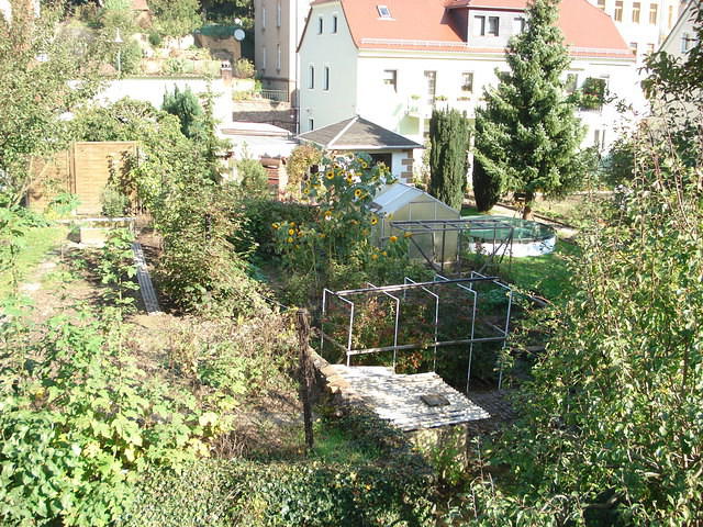 Meissen 2010 007.jpg