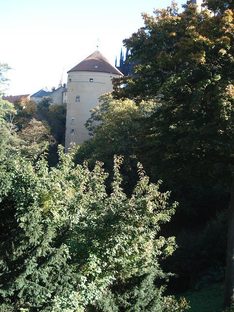 Prague 2010 037.jpg