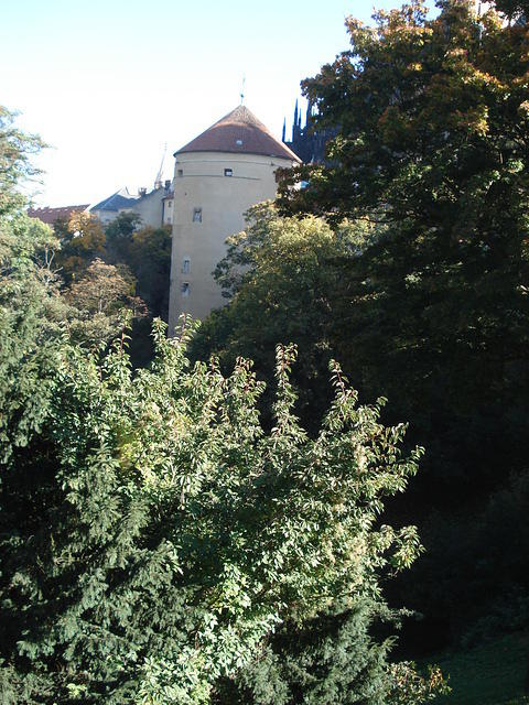 Prague 2010 038.jpg