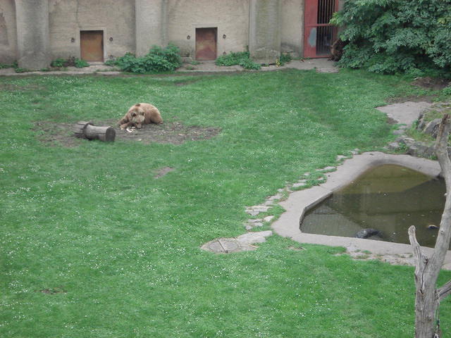 Torgau 2010 015.jpg