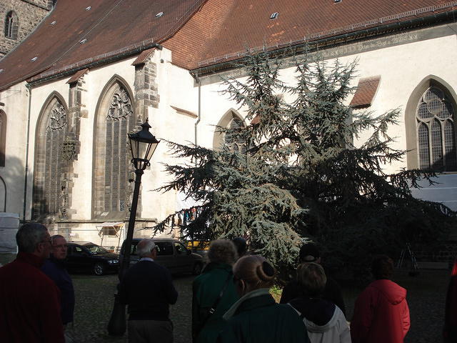 Wittenberg 2010 024.jpg