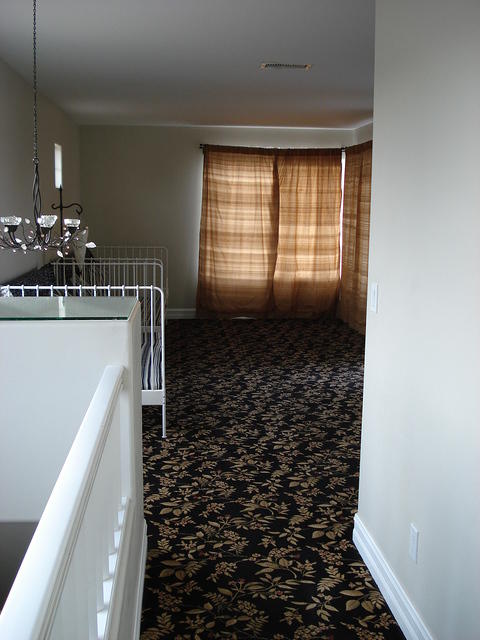 San Diego Feb 2009 017.jpg