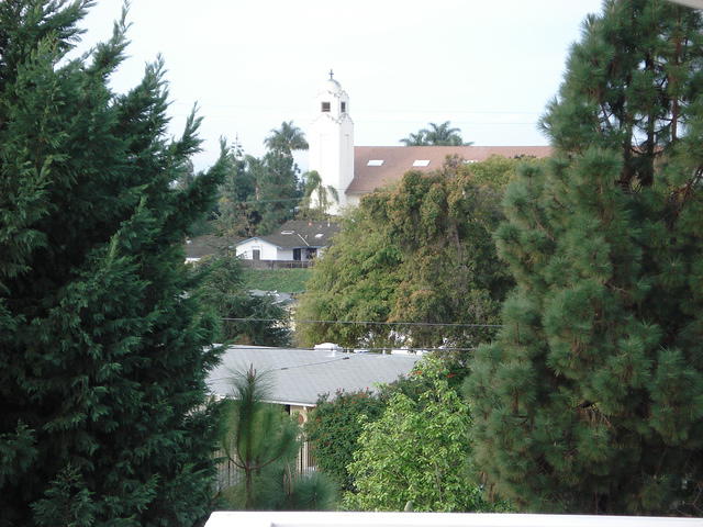 San Diego Feb 2009 023.jpg