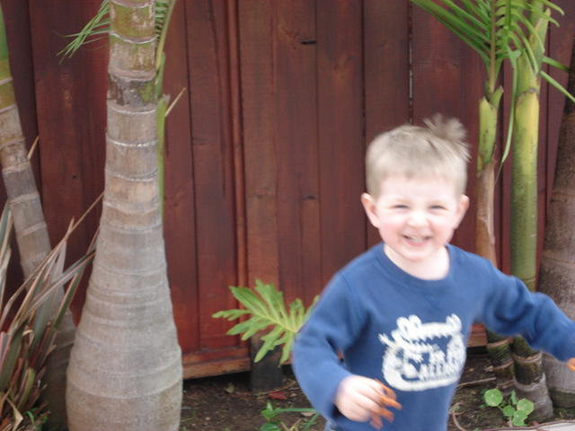 San Diego Feb 2009 029.jpg