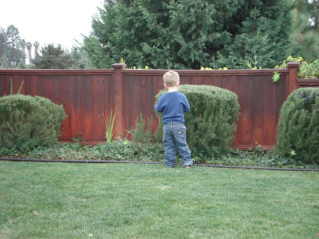 San Diego Feb 2009 030.jpg