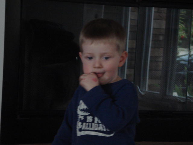 San Diego Feb 2009 035.jpg