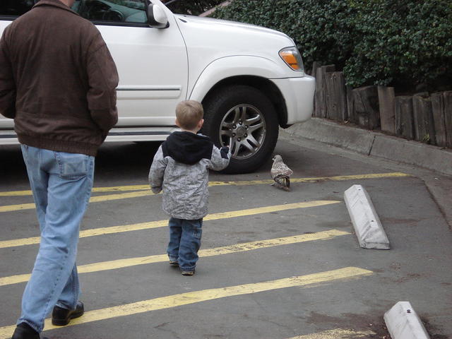 San Diego Feb 2009 047.jpg