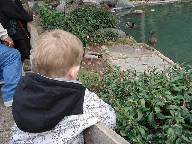 San Diego Feb 2009 049.jpg