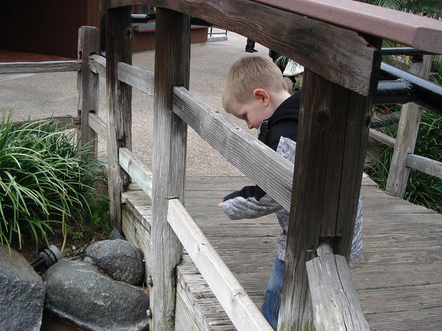 San Diego Feb 2009 050.jpg