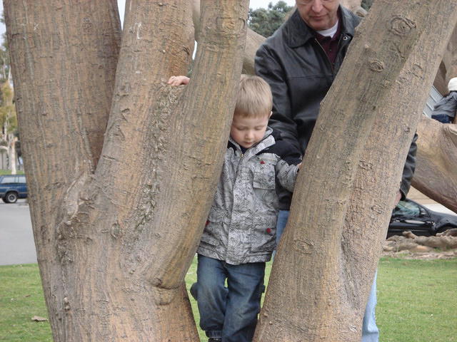 San Diego Feb 2009 052.jpg