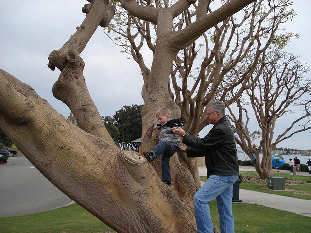 San Diego Feb 2009 056.jpg