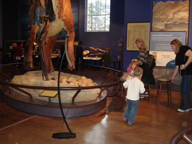 San Diego Feb 2009 071.jpg