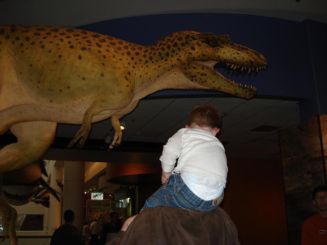 San Diego Feb 2009 074.jpg