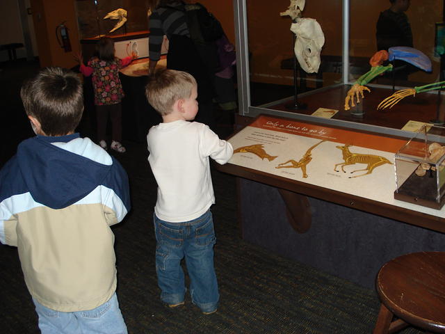 San Diego Feb 2009 082.jpg