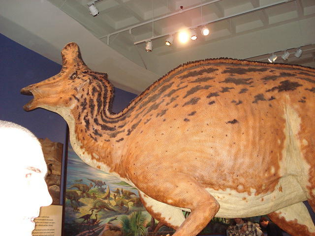 San Diego Feb 2009 086.jpg