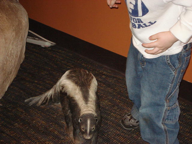 San Diego Feb 2009 090.jpg