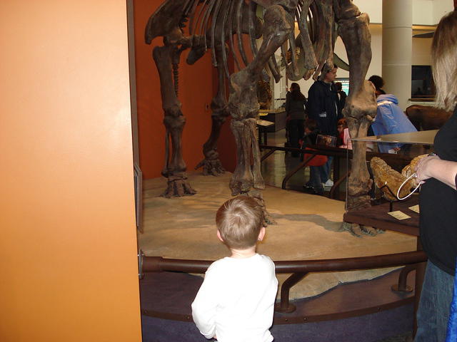 San Diego Feb 2009 091.jpg