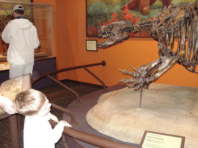 San Diego Feb 2009 092.jpg